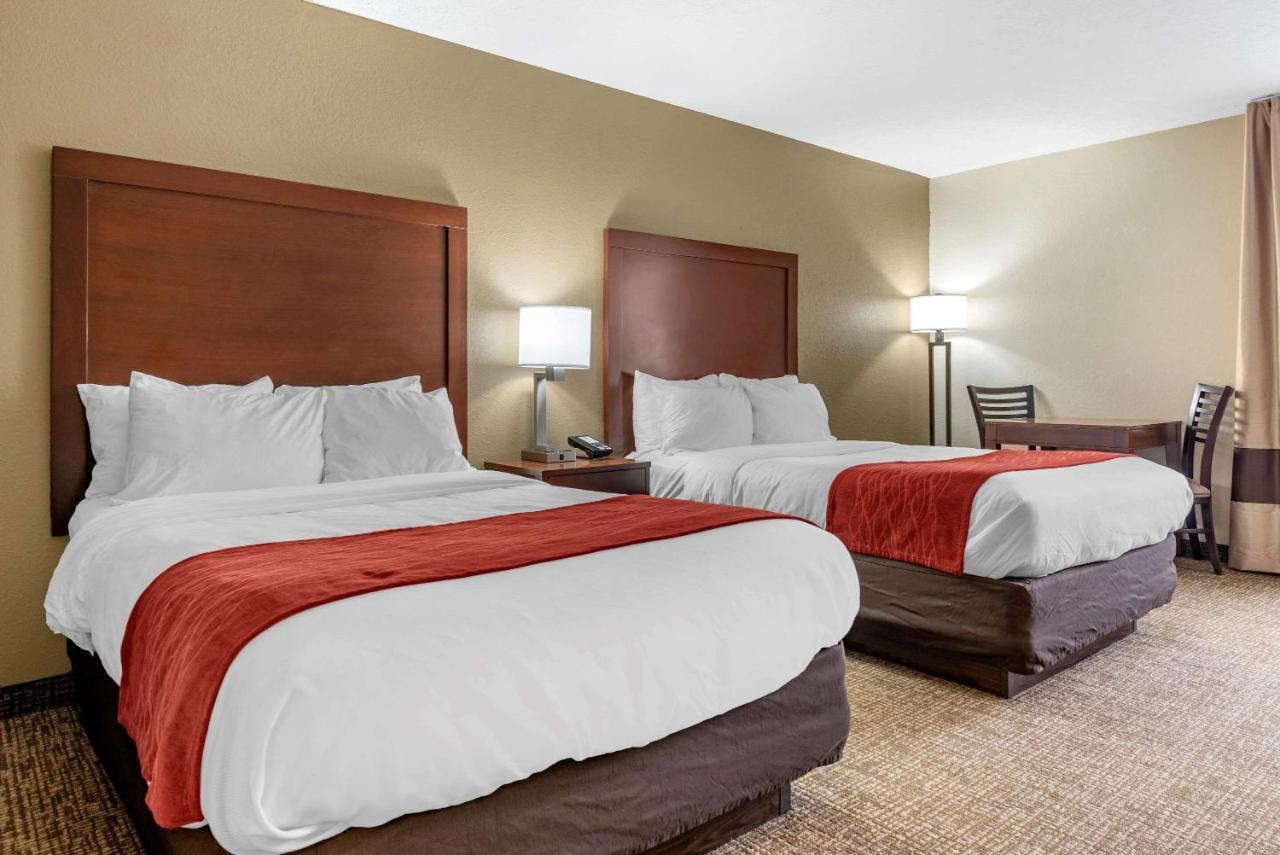 Comfort Inn & Suites Cincinnati Eastgate Dış mekan fotoğraf